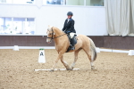 SBM_006336