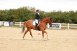 SBM_001915