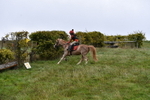 WJ5_5866