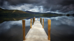 The Jetty