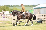SBM_18612