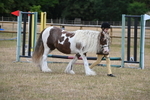 WJ6_8561