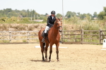 SBM_003612