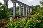 The Viaduct at Calstock 2