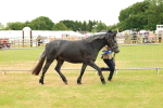SBM_04278