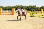 SBM_000241