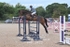 BPP_1433