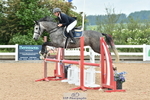 Cls 31 British Novice & Open portfolio