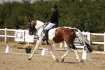 SBM_015103