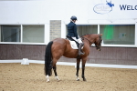 SBM_015500