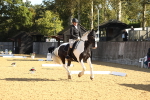 SBM_16585