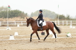 SBM_003869