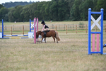 WJ6_8431