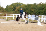 SBM_009696