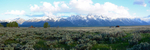 Teton Range From Mormon Row Barns Cropped_Panorama