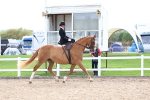 SBM_03391