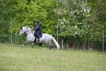 WJ6_1673