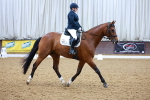 SBM_000732