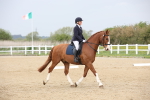 SBM_007221
