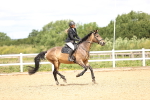 SBM_006467
