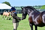 SBM_08064