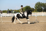 SBM_03136