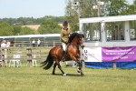 SBM_06911