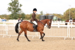 SBM_01547