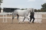 SBM_07967