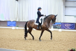 SBM_007949