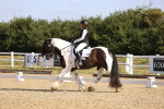 SBM_008620