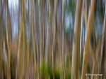 blur