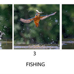 2nd PDI-Fishing-Charles Kidd