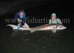 Monster Sturgeon.