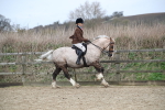 SBM_007203