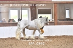 BPP_0849