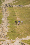 Ennerdale-519
