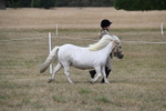 WJ6_6381