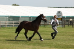SBM_02257