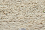 230708A-105419-02450