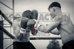 BOUT 13- Scott 'the Machete' Mourant v Sam 'the Stalker' Ferry portfolio