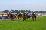 140726-Race 5-Crafty Spirit-1574