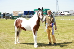 SBM_05536