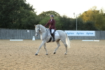SBM_31181
