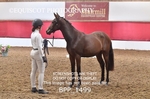 BPP_1499