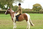 S59 - Part Bred Arab & Native Pony Ridden portfolio