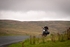 DSCF2908