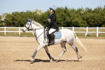 SBM_006945