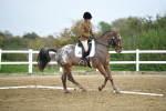 LAD_5462