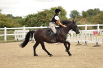 SBM_002981